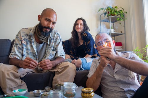 Základová fotografie zdarma na téma cigareta, hash, kloub