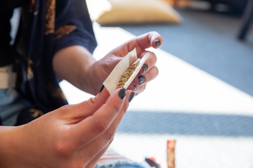 A Person Rolling Cannabis Into a Joint