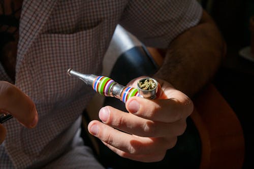 Kostenlos Kostenloses Stock Foto zu cannabis, festhalten, person Stock-Foto