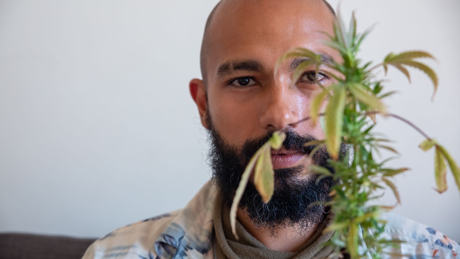 Close-up of a bald bearded man with a cannabis plant partially obscuring his face.