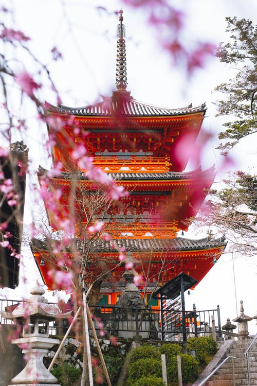 Free Vibrant springtime scene of Kiyomizu-dera pagoda with blooming cherry blossoms in Kyoto. Stock Photo