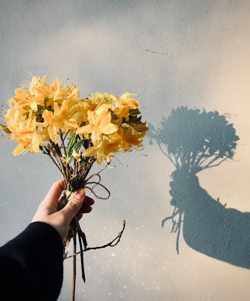 

A Person Holding a Bundle of Yellow Flowers