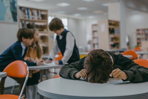 Foto d'estoc gratuïta de assetjament escolar, aula, companys de classe