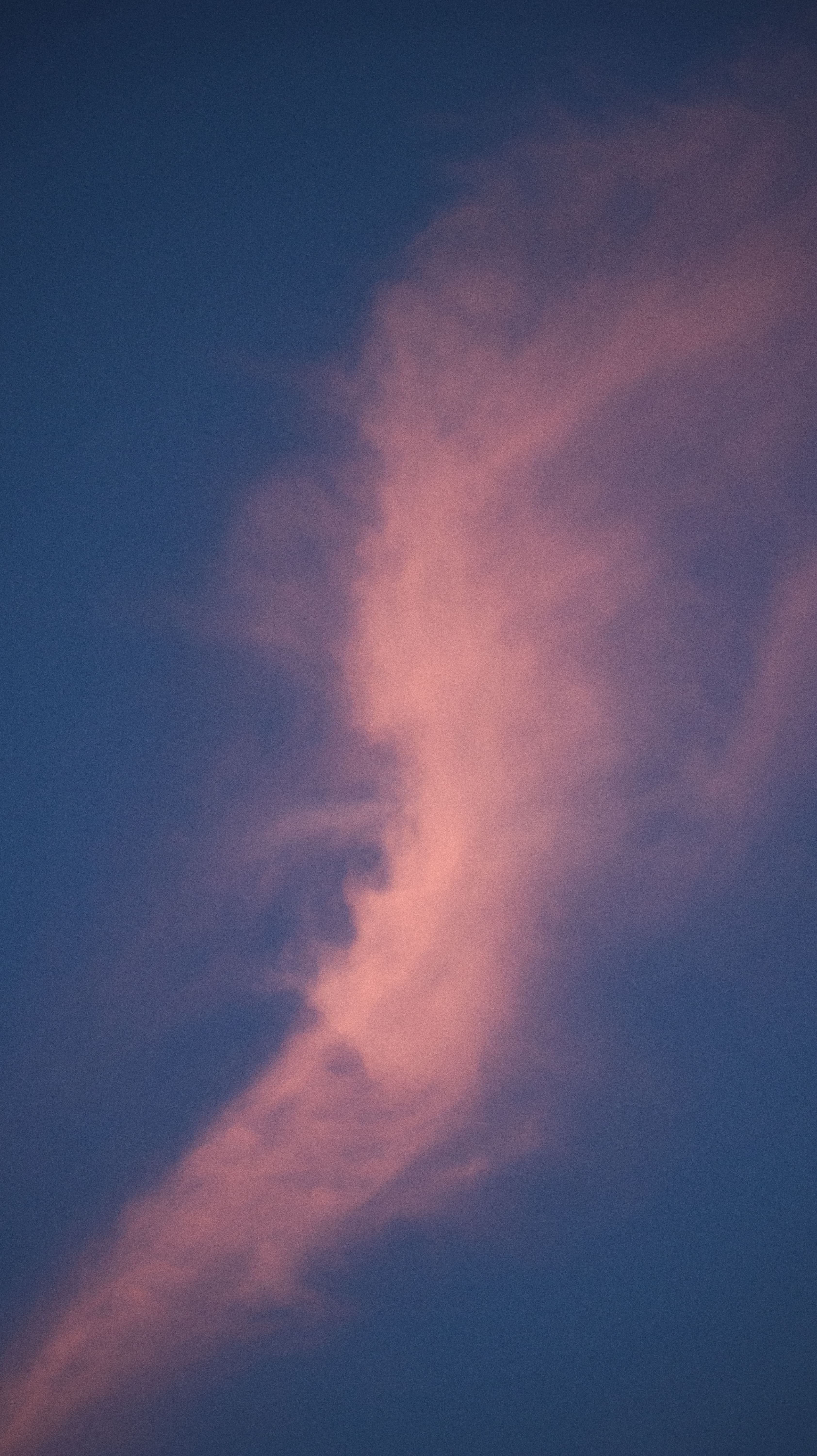 Vibrant pink cloud in a striking vertical formation against a darkening blue sky at twilight.