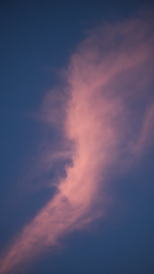 Immagine gratuita di cielo, cloud, meteo