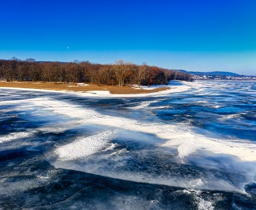 Foto profissional grátis de árvores, clima, com frio