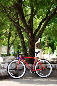 Red bicycle parked in a sunny park, next to a lush green tree, exuding a relaxed summer vibe.