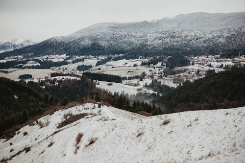 Snow City Skyline