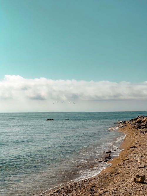 無料 シースケープ, ビーチ, 地平線の無料の写真素材 写真素材