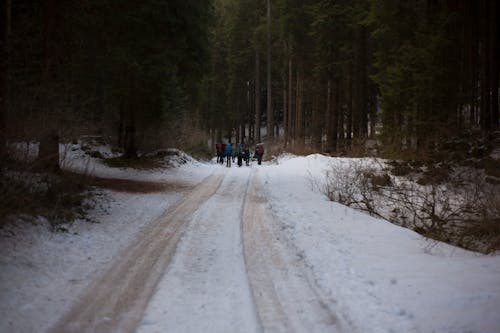 Free People Walking on Icy Road Stock Photo