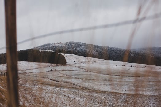Beautiful winter landscape showcasing frosty fields, snowy trees, and a serene sky.