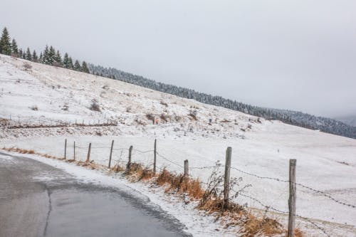 Základová fotografie zdarma na téma den, denní světlo, hora