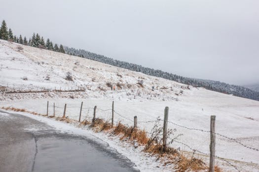 A tranquil winter scene featuring snow-covered hills, trees, and a wire fence along a road.