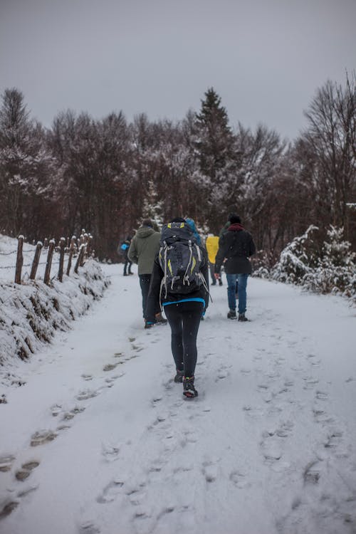 겨울 동안 눈 덮인 길을 걷는 사람들
