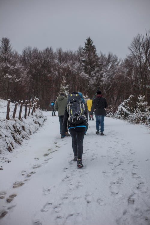 Ilmainen kuvapankkikuva tunnisteilla flunssa, ihmiset, jää