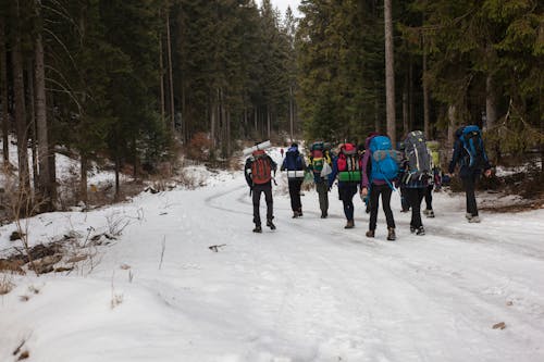 Alpinisti Che Camminano Sulla Neve