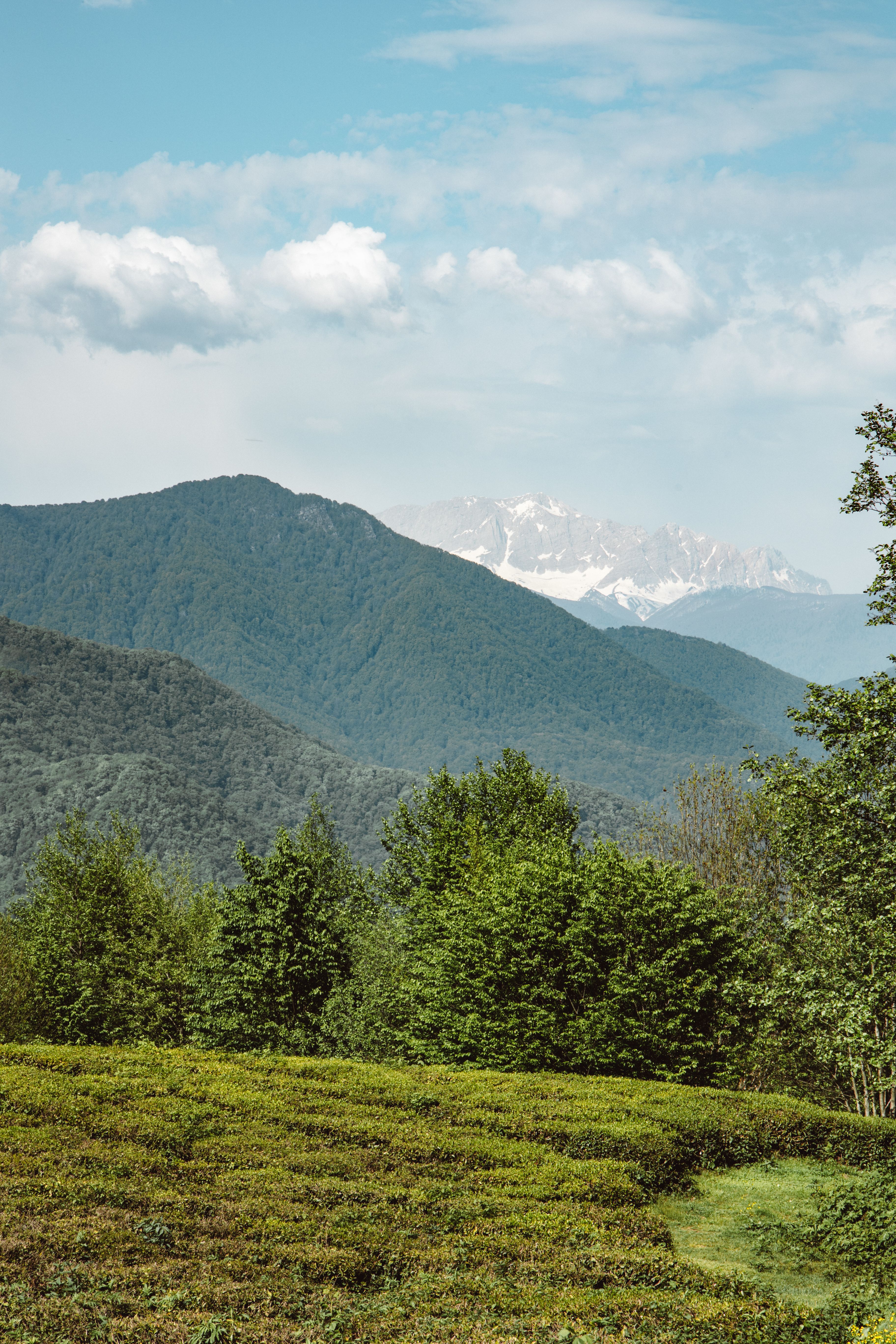 Beautiful rural scenery with lush greenery and mountains under a blue sky.