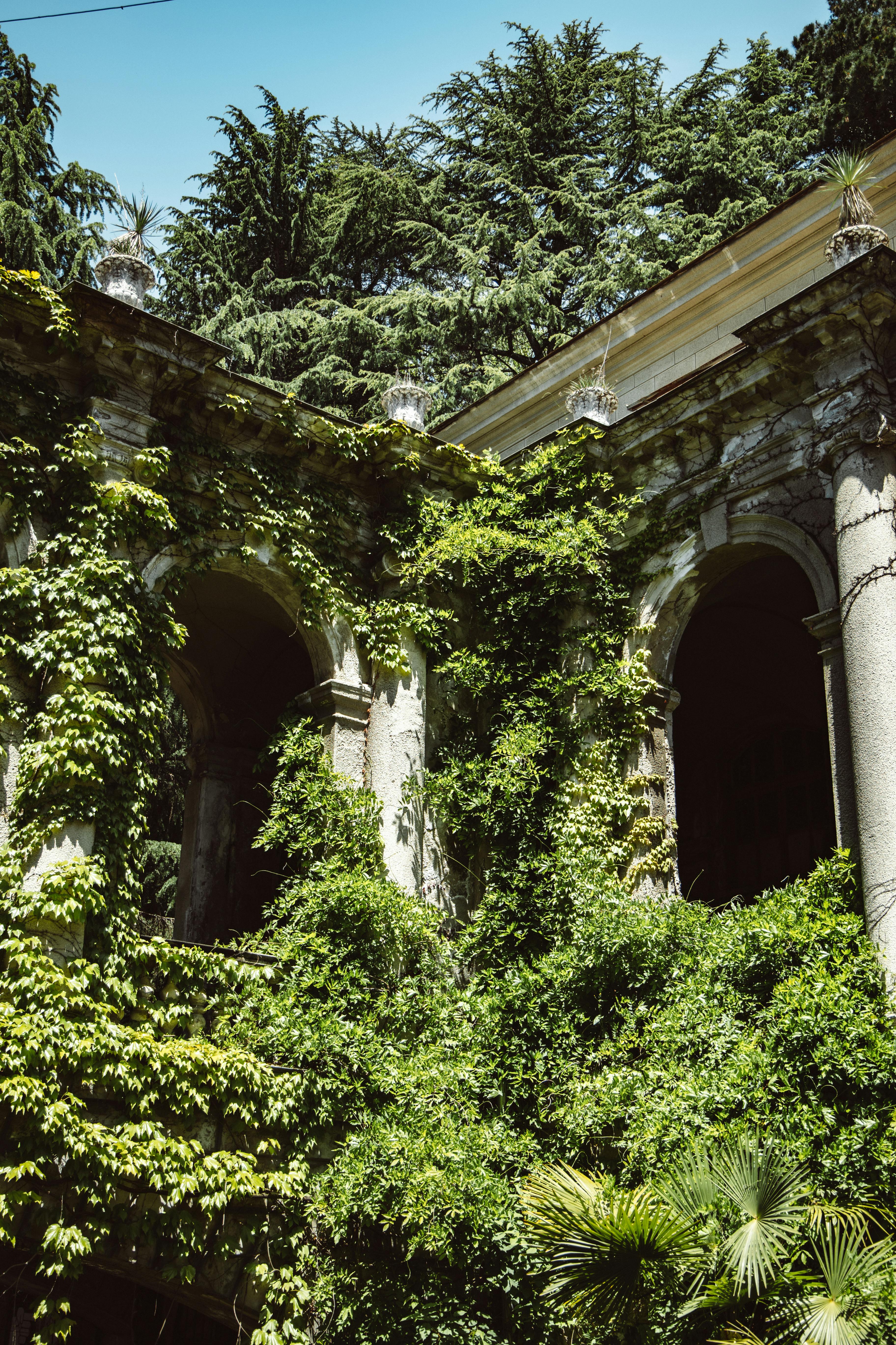 Gartenmauer mit bepflanzten Regalen