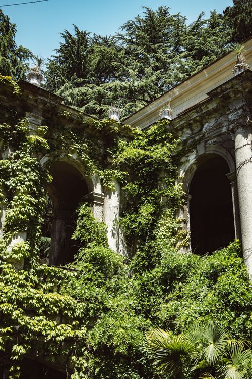 Free A stunning view of ancient architecture overtaken by lush greenery and ivy. Stock Photo