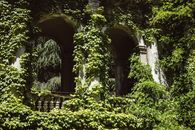 Green Plants on Gray Concrete Building