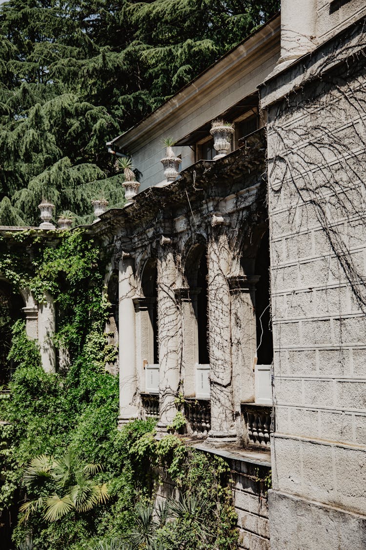 

A House With Overgrown Plants