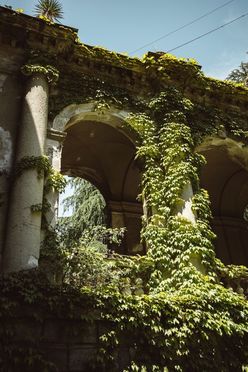 Free Ancient stone archway covered in lush green ivy, creating a mystical, timeless feel. Stock Photo