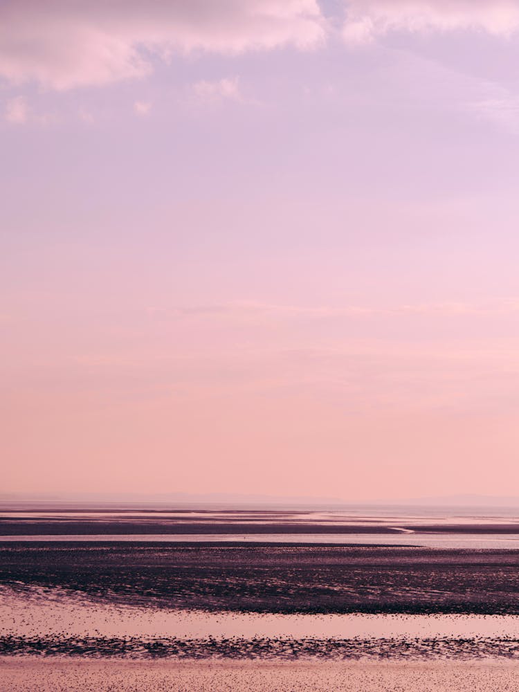 
A View Of A Mudflat