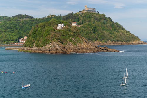 Buildings on a an Island Covered With Green Trees