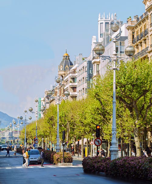 
Street Lamps on a Road