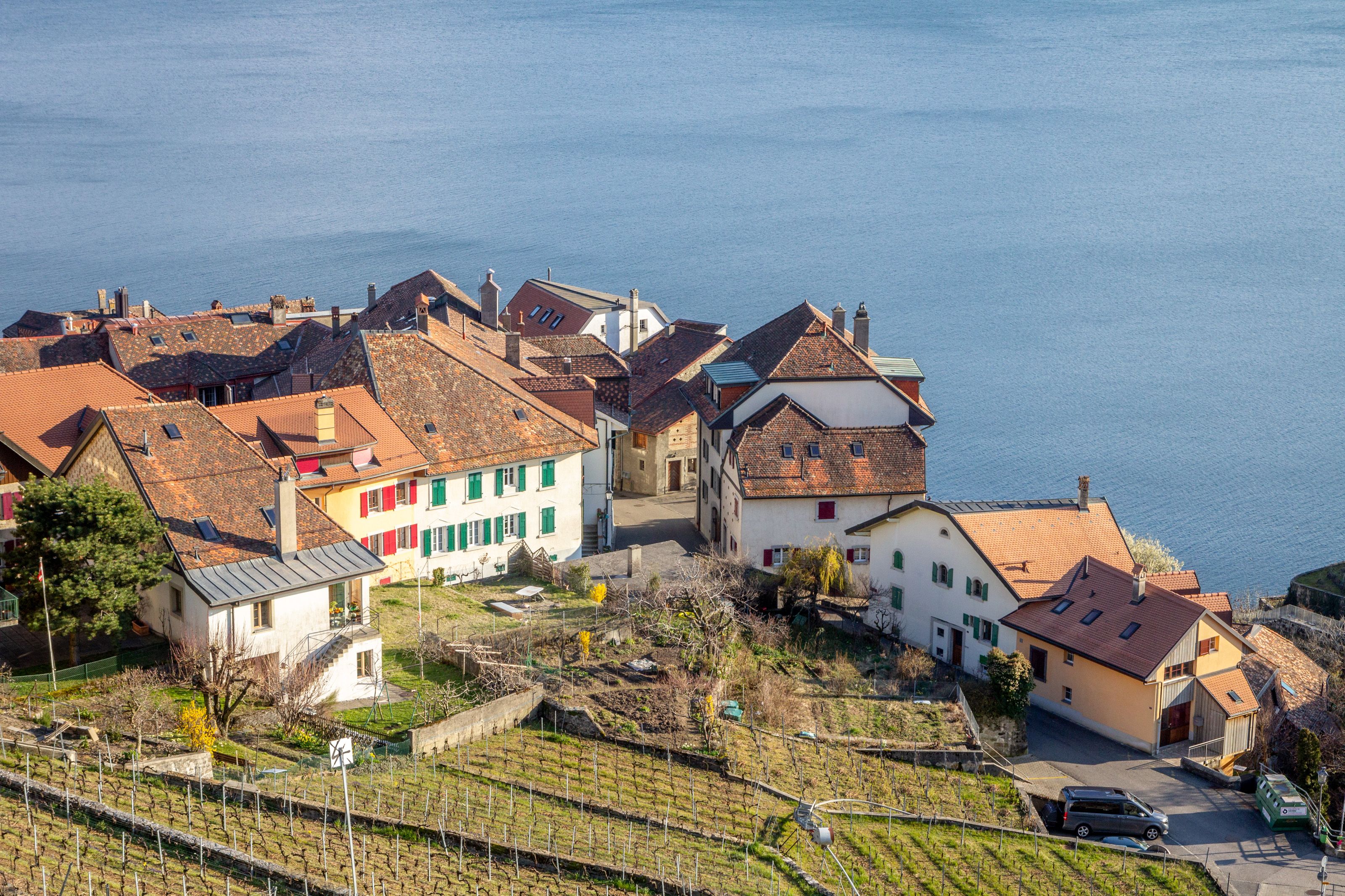 Aerial view of charming village houses by a serene lakeside, showcasing rustic architecture.