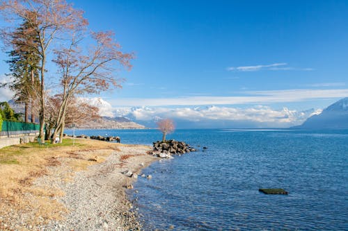 Brown Sand beside Blue Water under Blue Sky