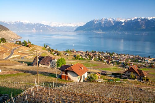 Houses and Fields Down the Hill by a Lake with Mountains in the Distance