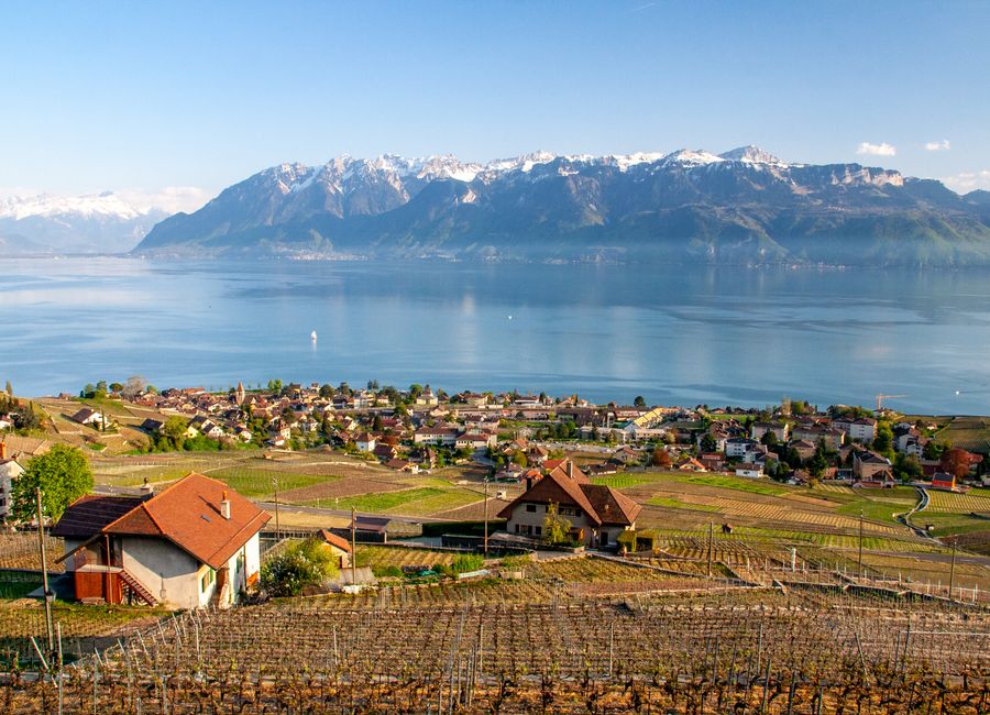A beautiful landscape featuring a vineyard, rustic village, and the Alps overlooking Lake Geneva.