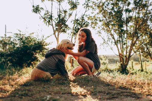 Full body side view of female owner stroking Golden Retriever in cloth while squatting on grassy ground near trees in sunny nature
