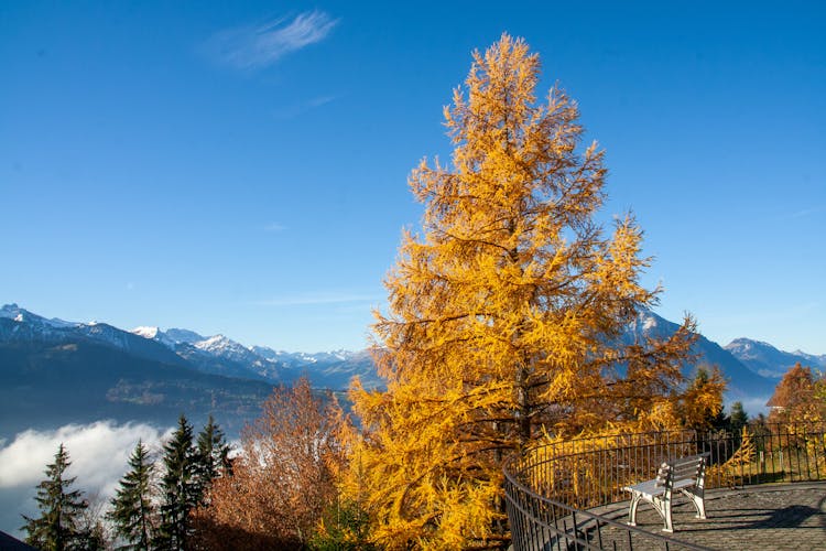 Observation Point In Mountains 