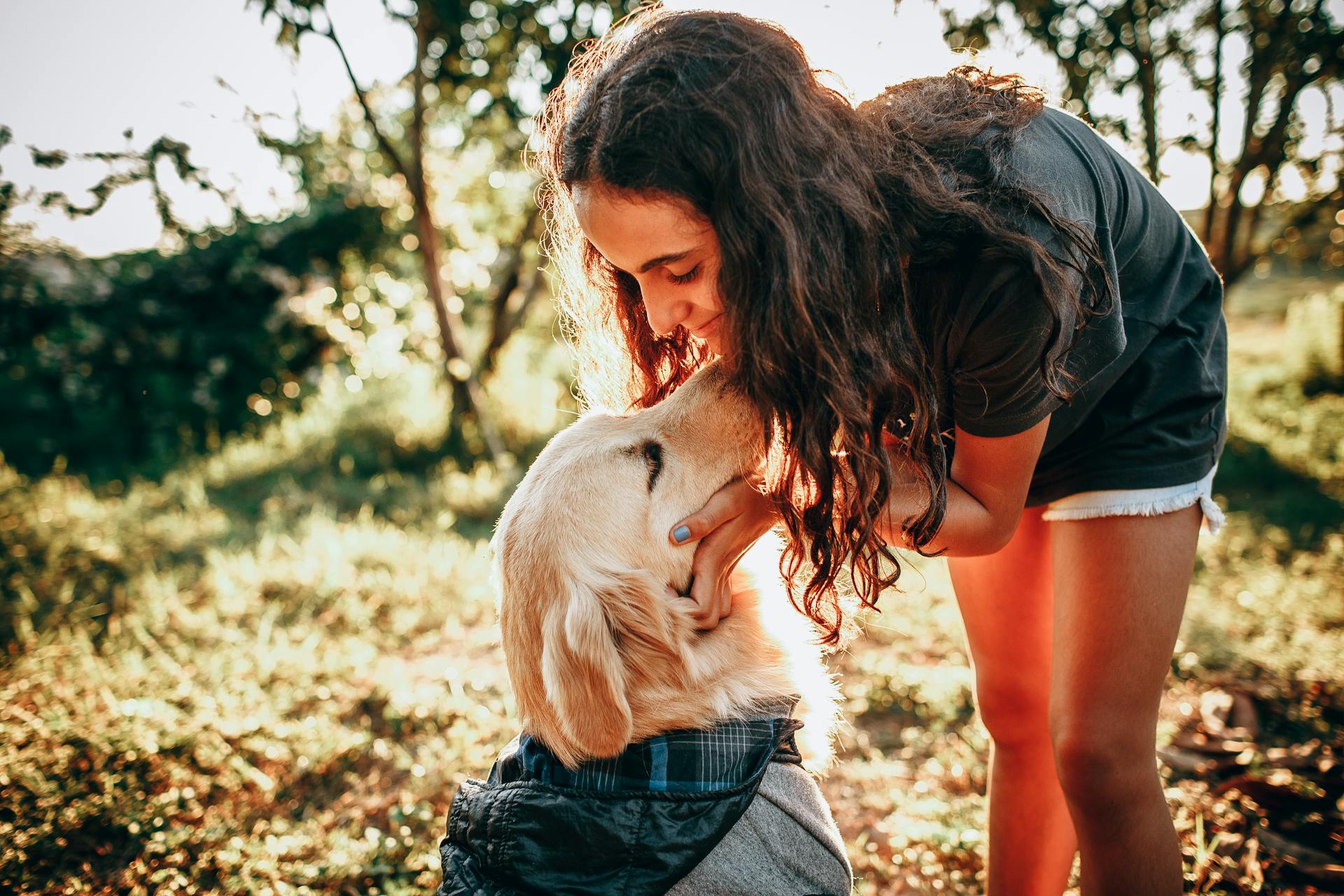 Lady petting purebred dog on grassy meadow near trees