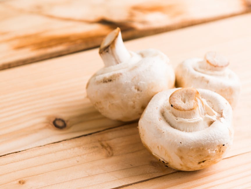 Three White Mushrooms on Beige Wooden Table