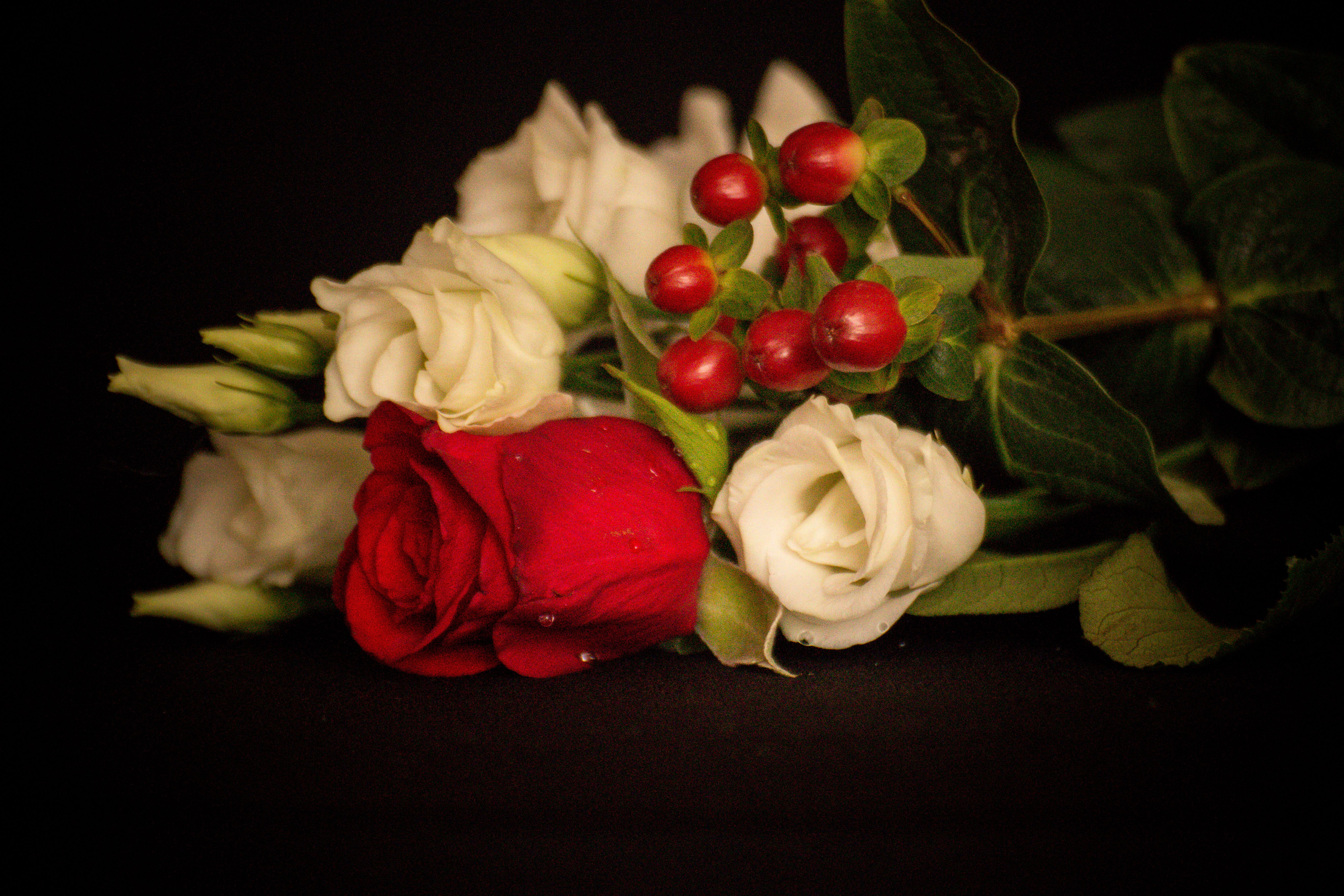 Free stock photo of beautiful, beautiful flowers, berry