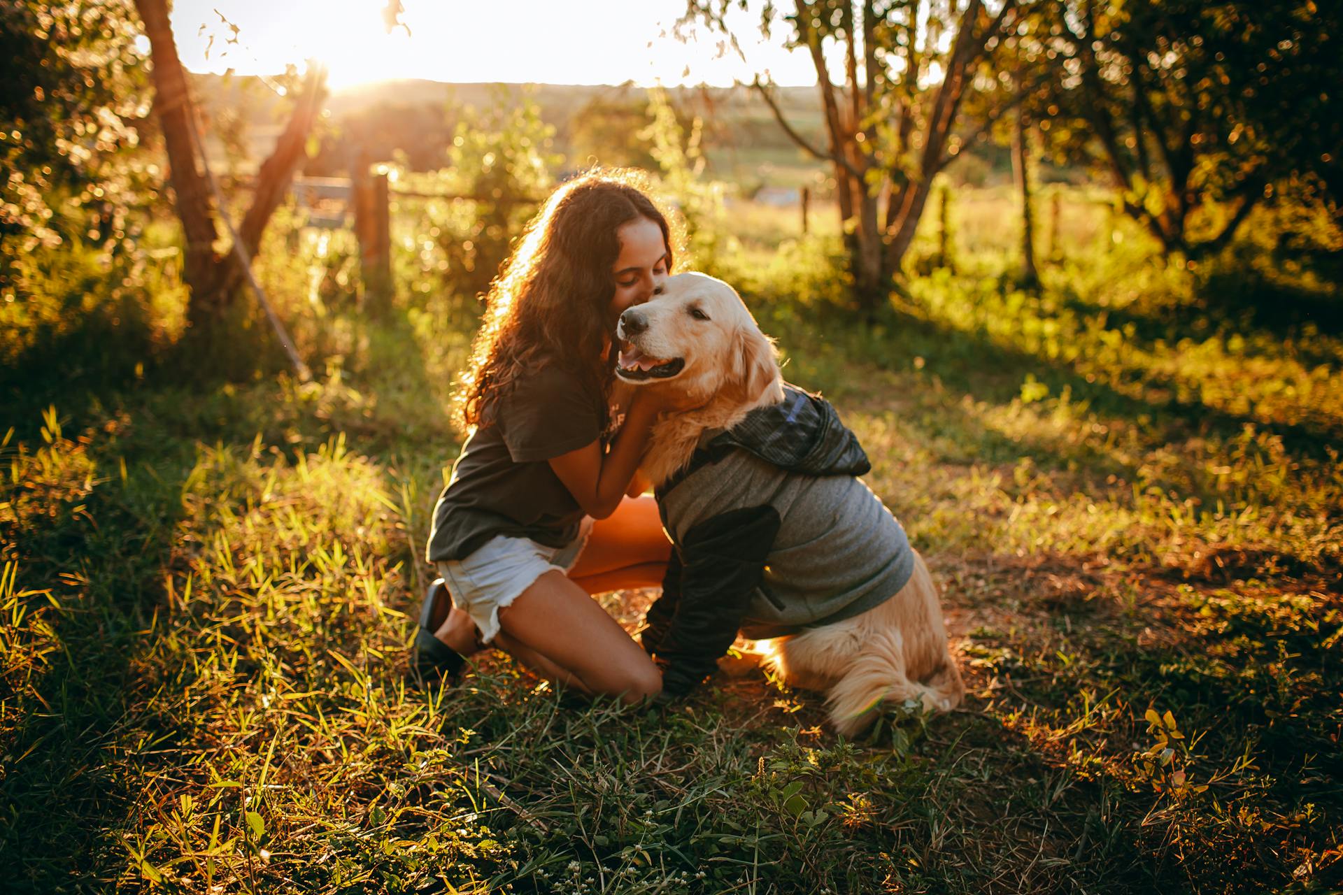 Une fille qui caresse un golden retriever dans la prairie.