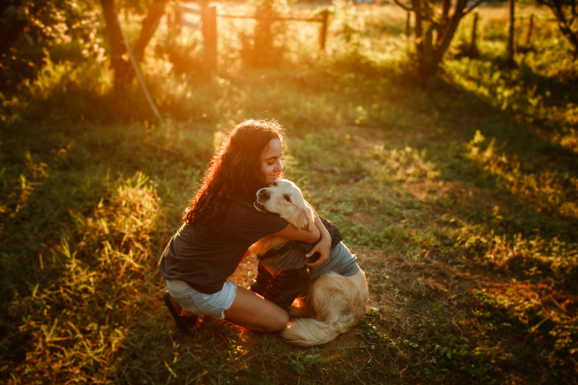 Girl sitting on grassy field and caressing loyal Golden Retriever dog in countryside in summer