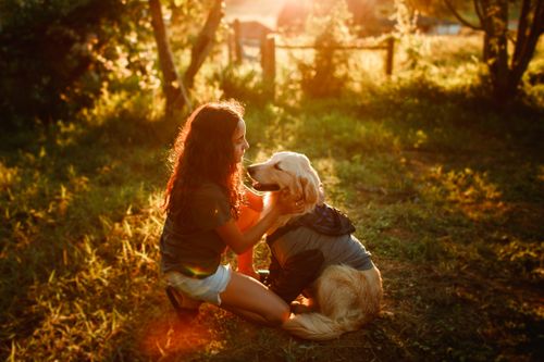 Free Side view of preteen girl caressing Golden Retriever while resting together on grassy meadow in summer Stock Photo