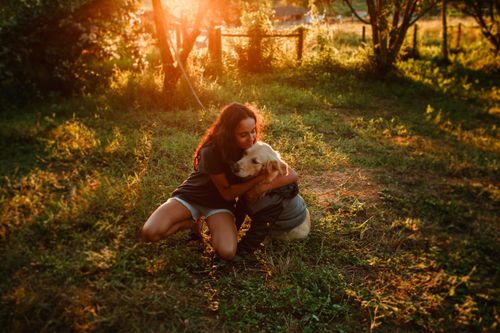 Free Preteen girl hugging Golden Retriever while sitting on green grass in sunny day Stock Photo