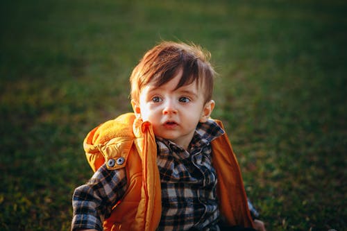 Cute little kid sitting on meadow