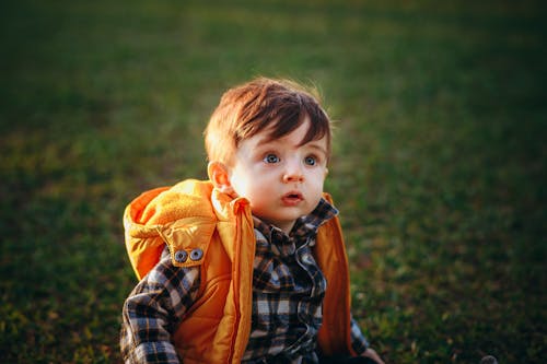 Cute curious boy in warm clothes sitting on grassy meadow while looking away with curiosity in summer evening