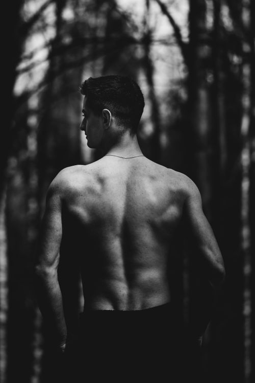 Free A dramatic black and white portrait showcasing a shirtless man's back, in a forest setting. Stock Photo