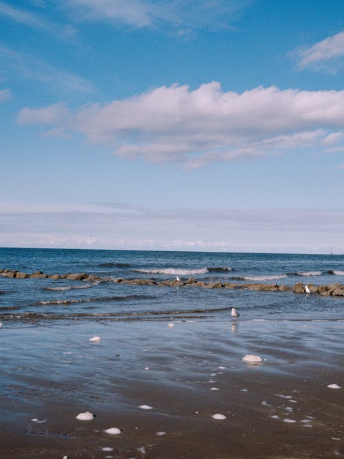 Sea Waves Crashing on Shore Under Blue Sky