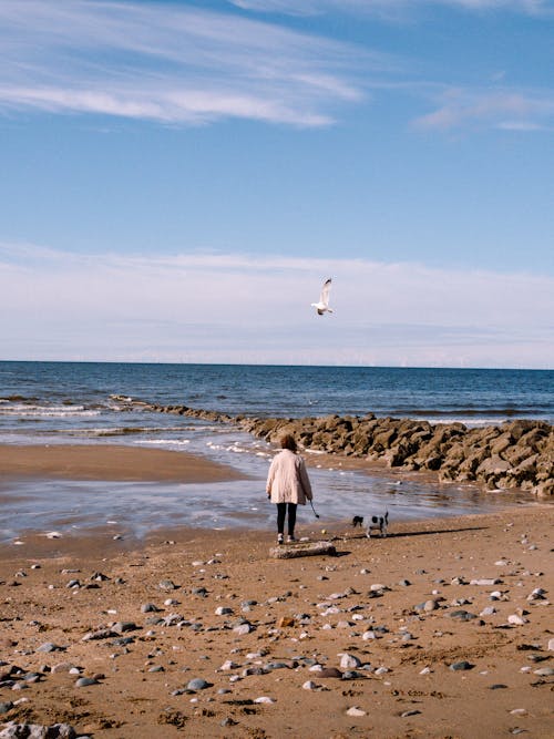 Woman in White Long Sleeve Standing on Brown Sand