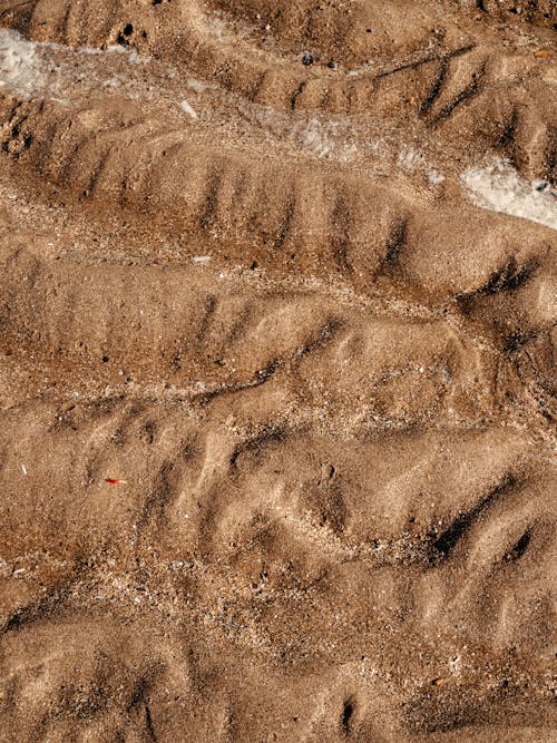 Foto profissional grátis de areia, cereais, chão