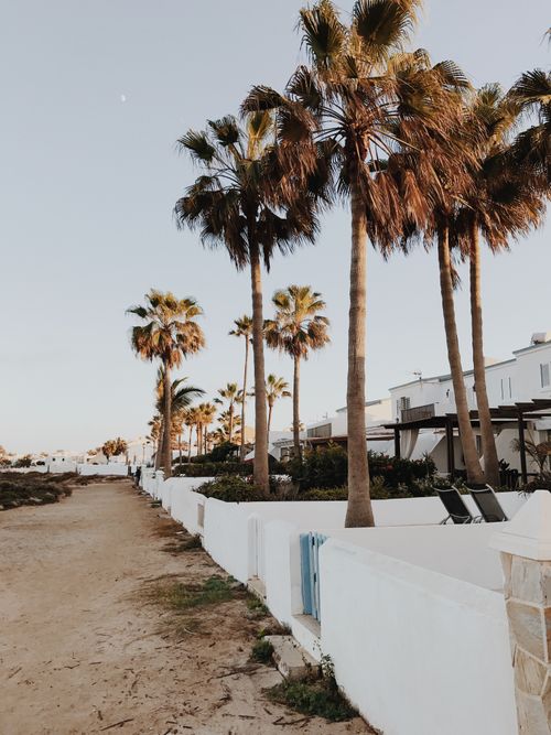 Free A sandy path lined with palm trees and white walls in Corralejo, Fuerteventura. Stock Photo