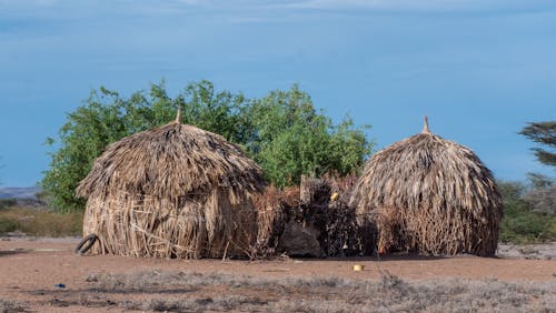 Free stock photo of africa, huts, turkana